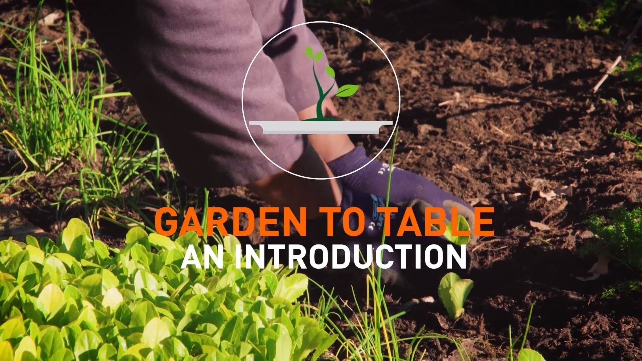 garden to table introduction 